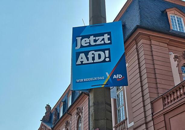 Bild vergr&ouml;&szlig;ern: Studie: Subventionen können AfD ausbremsen