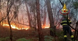 Waldbrand in der Toskana: Rund 3500 Menschen müssen ihre Häuser verlassen