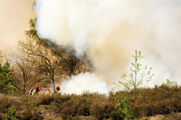 Bild vergr&ouml;&szlig;ern: Dutzende Hektar Vegetation bei Waldbränden in Niederlanden zerstört