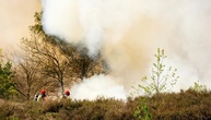 Dutzende Hektar Vegetation bei Waldbränden in Niederlanden zerstört