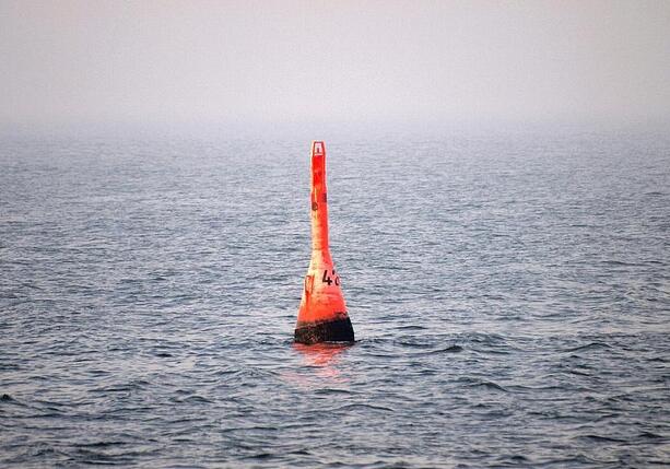 Bild vergr&ouml;&szlig;ern: Gestrandeter Buckelwal in der Nordsee freigesetzt