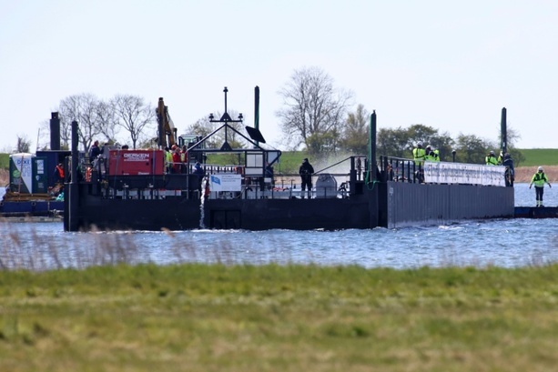 Bild vergr&ouml;&szlig;ern: Buckelwal schwimmt in der Nordsee - Tier hat Lastkahn Samstagmorgen verlassen