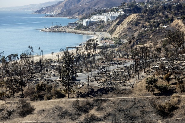 Bild vergr&ouml;&szlig;ern: Palisades-Feuer in Los Angeles: Verdächtiger soll Groll gegen Reiche gehegt haben