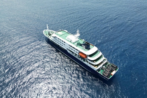 Bild vergr&ouml;&szlig;ern: WHO: Hantavirus auf Kreuzfahrtschiff vermutlich von Mensch zu Mensch übertragen