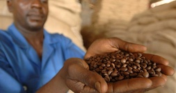 38 Euro pro Kopf für Fairtrade-Produkte: Umsatz erreicht 2025 neues Rekordhoch