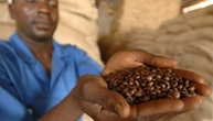 38 Euro pro Kopf für Fairtrade-Produkte: Umsatz erreicht 2025 neues Rekordhoch