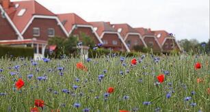 US-Investoren betreten deutschen Markt für Einfamilienhäuser