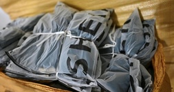 Zoll meldet massiven Anstieg von E-Commerce-Sendungen