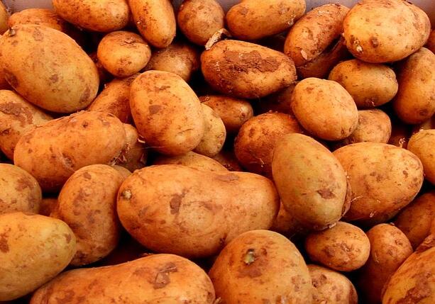 Bild vergr&ouml;&szlig;ern: Landwirtschaftliche Erzeugerpreise im März deutlich gesunken