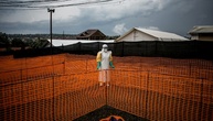 Ausbruch seltener Ebola-Variante im Kongo und in Uganda: WHO ruft Notlage aus