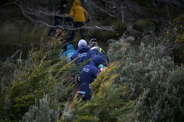 Bild vergr&ouml;&szlig;ern: Argentinische Forscher stellen nach Hantavirus-Ausbruch Fallen in Ushuaia auf