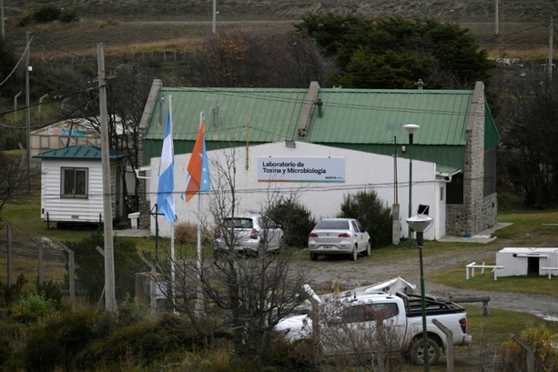 Bild vergr&ouml;&szlig;ern: Hantavirus-Ausbruch: Biologen sammlen in Ushuaia Proben von Nagetieren für Tests
