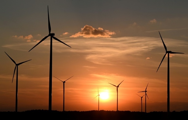 Bild vergr&ouml;&szlig;ern: Studie: Jeder dritte ausgeschriebene Job hat mit Green Economy zu tun