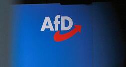 Institutionen warnen vor AfD-Regierung in Sachsen-Anhalt