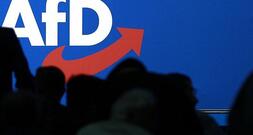 Union und SPD warnen AfD vor Verfassungsbruch in Sachsen-Anhalt