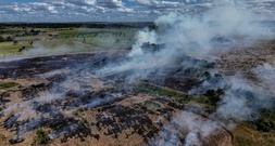 Abholzung in Brasiliens Amazonasgebiet auf niedrigstem Stand seit 2019