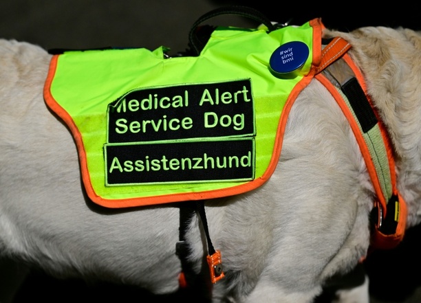 Bild vergr&ouml;&szlig;ern: Gericht: Anspruch auf Assistenzhund bei Posttraumatischer Belastungsstörung