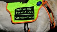 Gericht: Anspruch auf Assistenzhund bei Posttraumatischer Belastungsstörung