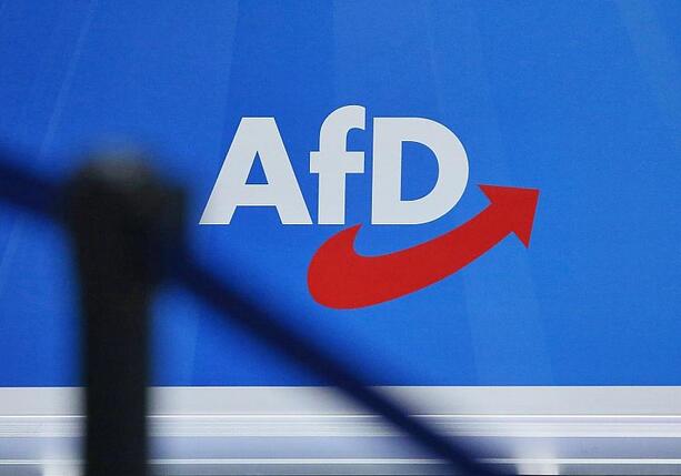 Bild vergr&ouml;&szlig;ern: Experte warnt Merz vor AfD-Stärkung durch Themenübernahme