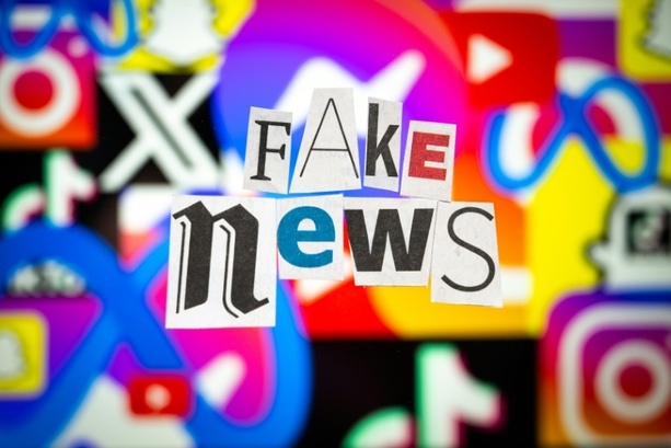 Bild vergr&ouml;&szlig;ern: Bitkom: 91 Prozent der Deutschen stießen bereits auf Fake News