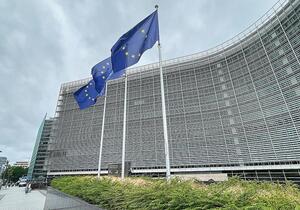 EU-Kommission verhängt Millionen-Geldbuße gegen Temu