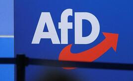 AfD könnte bei Wahlsieg in Sachsen-Anhalt 2.500 Stellen besetzen