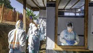 WHO-Chef: Hinken bei Ebola-Epidemie noch hinterher, holen aber auf