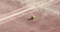 Alexander Zverev gewinnt French Open