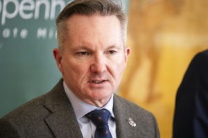 COP31-Verhandlungsführer: 