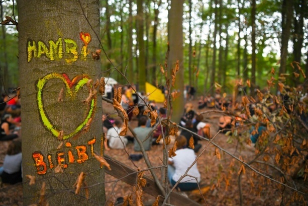 Bild vergr&ouml;&szlig;ern: Hambacher Wald soll zu Wildnis werden: Einigung über dauerhaften Schutz