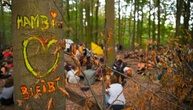 Hambacher Wald soll zu Wildnis werden: Einigung über dauerhaften Schutz