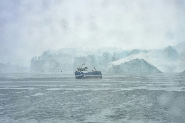 Bild vergr&ouml;&szlig;ern: Klimawandel macht Gletscher instabil: Deutlich mehr Eisberge vor Grönland