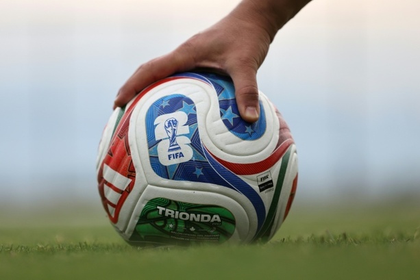Bild vergr&ouml;&szlig;ern: Tierorakel zu Fußballweltmeisterschaft vor erstem Deutschland-Spiel uneins