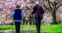 IW-Studie: Bis 2036 fehlen 4,3 Millionen Arbeitskräfte in Deutschland