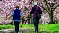 IW-Studie: Bis 2036 fehlen 4,3 Millionen Arbeitskräfte in Deutschland