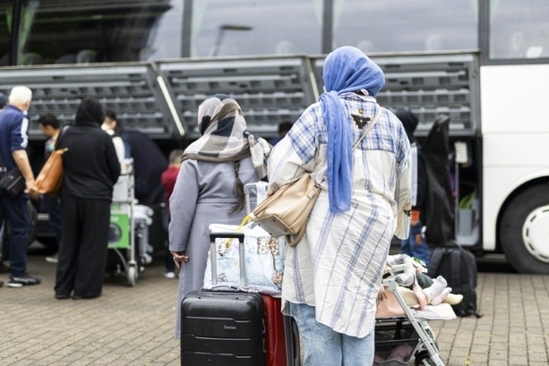 Bild vergr&ouml;&szlig;ern: Mikrozensus: Drei Viertel aller jungen Syrer und Afghanen ohne Ausbildungsabschluss