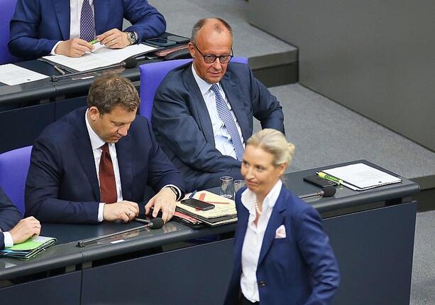 Bild vergr&ouml;&szlig;ern: AfD bleibt in Umfrage mit 29 Prozent stärkste Kraft
