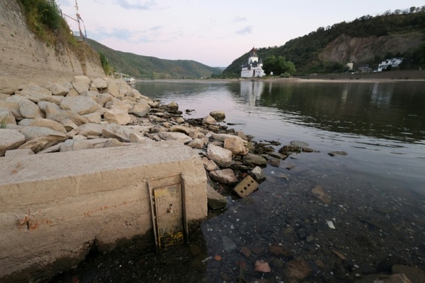 Bild vergr&ouml;&szlig;ern: Rhein und Mosel wärmer als 25 Grad: Rheinland-Pfalz ruft Warnstufe aus