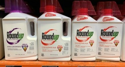 Oberstes US-Gericht entscheidet zugunsten von Bayer im Glyphosat-Streit