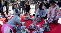 Sony stellt Verkauf von Roboterhündchen Aibo in Japan ein