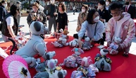 Sony stellt Verkauf von Roboterhündchen Aibo in Japan ein