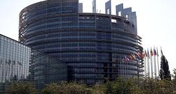 EU-Abgeordnete fordern Prüfung von AfD-Dachpartei ESN