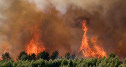 3000 Menschen wegen Waldbrand im Süden Frankreichs evakuiert