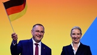 Weidel erklärt AfD zur