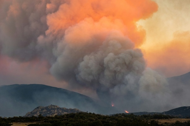 Bild vergr&ouml;&szlig;ern: Hunderte Feuerwehrleute kämpfen weiter gegen Waldbrand in den Pyrenäen
