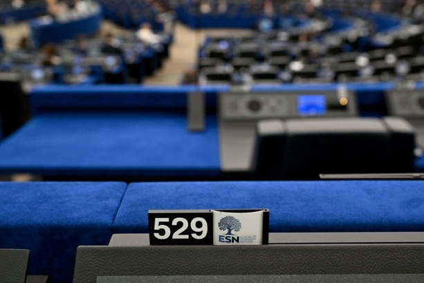 Bild vergr&ouml;&szlig;ern: Prüfverfahren gegen EU-Parteienfamilie der AfD wegen möglicher Verstöße gegen EU-Werte
