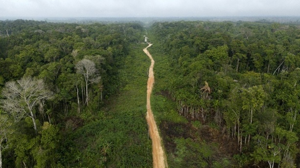 Bild vergr&ouml;&szlig;ern: Brasilien: Abholzung von Amazonas-Regenwald auf neuem Tiefstand
