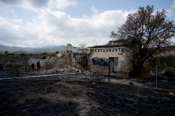 Bild vergr&ouml;&szlig;ern: Nach tödlichem Waldbrand: Spaniens Regierungschef Sánchez besucht Katastrophengebiet