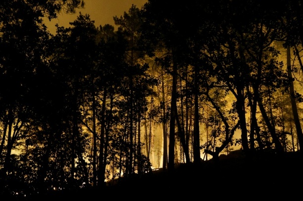 Bild vergr&ouml;&szlig;ern: Waldbrand bei Fontainebleau nahe Paris - Urlaubsverkehr beeinträchtigt