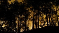 Waldbrand bei Fontainebleau nahe Paris - Urlaubsverkehr beeinträchtigt